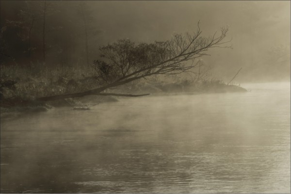 Nebel