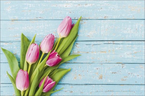 Blumen auf Holz Tulpen