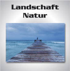 kategorie-bilder-natur